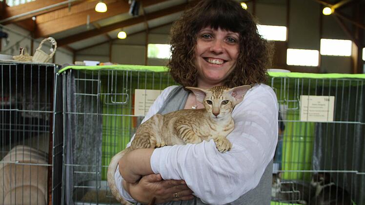 Züchterin Stefanie Reichardt aus Hochstadt mit ihrer Orientalisch Kurzhaar-Katze.