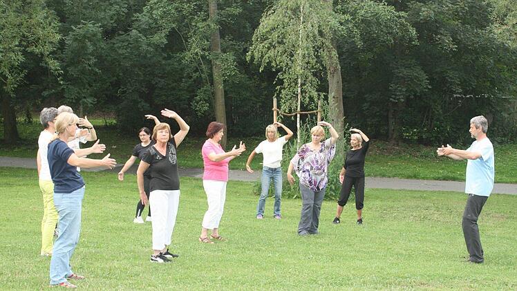 Im Park erlebten Herzogenauracher Qi Gong. Millionen Chinesen treffen sich auch jeden Tag, um dessen heilende Wirkung zu spüren. Foto: D. Weiler