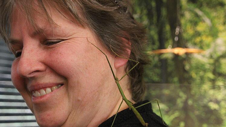 vEine grüne Stabschrecke geht  auf Erkundungstour. Susanne Scheer lacht. Diana Fuchs