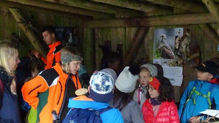 Impressionen des Waldtages. Foto: Florian Spahn