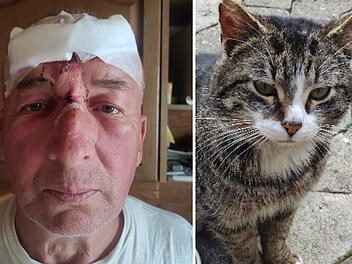 Ludwigschorgast: Erst wird sein Kater überfahren - dann passiert Mann (63) ein Unfall