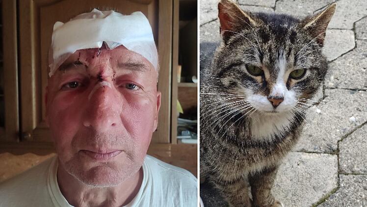 Ludwigschorgast: Erst wird sein Kater überfahren - dann passiert Mann (63) ein Unfall