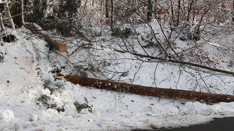 Wintereinbruch in der Rhön: Etliche umgestürzte Bäume mussten beseitigt werden. Foto: Carmen Schmitt