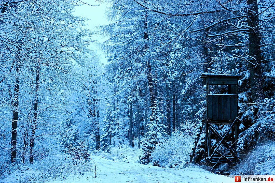 Schnee im Fichtelgebirge