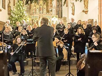 Takt für Takt: Der Laurentius-Chor und die Streicher bestritten das gelungene Konzert in der Eberner Stadtpfarrkirche.  Fotos: Jule Müller