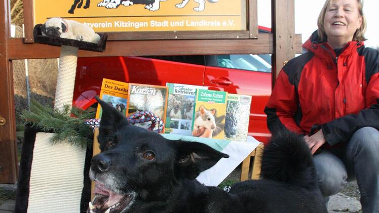 Keine gute Erinnerung an Weihnachten: Während Mischlingshund Mike, der nach Weihnachten ausgesetzt worden ist, noch überlegt, ob er die Wurst von einer Fremden annehmen kann, kniet Jutta Sanchez neben einem Präsente-Stand vorm Tierheim. "Bitte schenkt lieber Bücher oder Zubehör, aber keine lebenden Tiere zu Weihnachten!", appelliert die Gassigängerin an alle Menschen.   Foto: Diana Fuchs