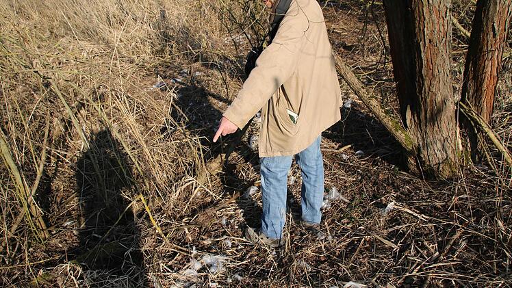 Im Gestrüpp findet Kai Kutzner plötzlich viele Schwanenfedern. Was ist hier passiert?