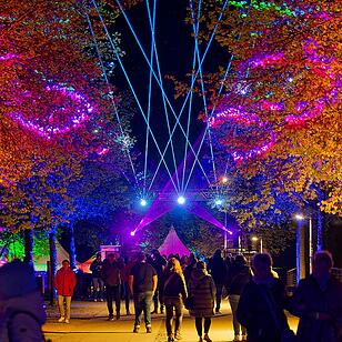 Eine magische Kulisse mit effektvoll platzierter Lichtkunst.