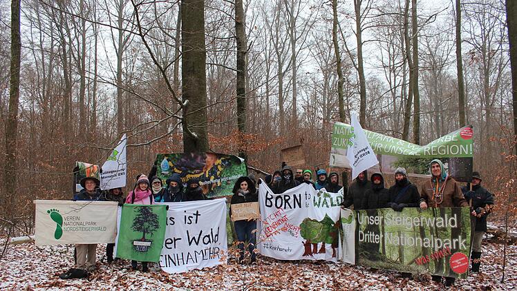 MdB Lisa Badum protestiert gegen Fällungen im Hohen Buchenen Wald. Foto: privat
