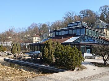 Das Palmenhaus am Südende des Rosengartens. Es müsste saniert werden, doch viele im Stadtrat scheuen die Kosten. Foto: Simone Bastian
