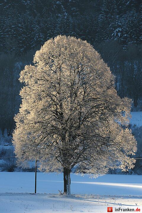 Dreikönigswochenende bei eisigen Temperaturen in Franken 2017