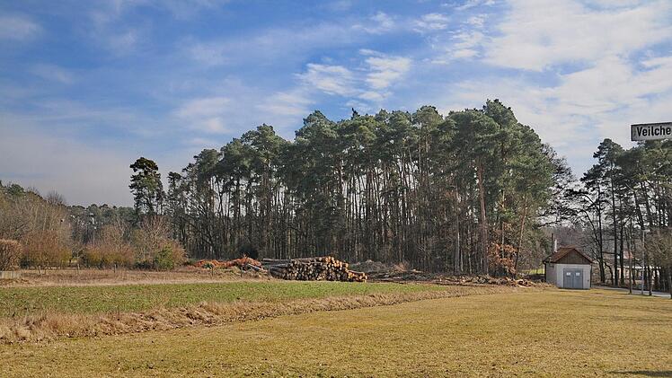 Auf diesem Gelände am Ende der Sebalder Straße soll  die neue Kita in Dormitz gebaut werden. Foto: Karl Heinz Wirth