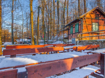 Forchheim: Das erwartet dich beim "Winterzauber" im Kellerwald