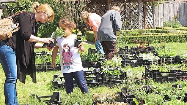 Im Alten Bauhof wird eine gro&szlig;e Auswahl an Kr&auml;utern angeboten. Foto: privat