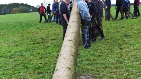 Mit vereinten Kr&auml;ften bringt man auch den stattlichsten Kerwabaum in die H&ouml;he. In Buch packten alle mit an. Foto: Richard S&auml;nger