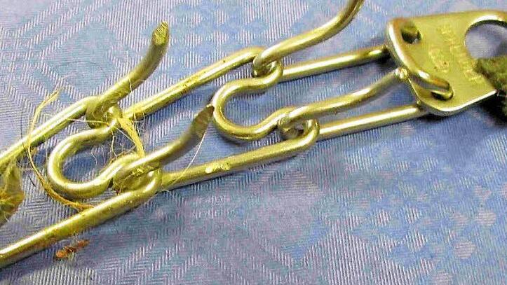 Mit diesem Stachelhalsband hat Roland M. einen seiner Schäferhunde gefügig gemacht. Die Zähne oben rechts sind im Originalzustand, alle anderen Paare hat er angespitzt und damit gegen das Tierschutzgesetz verstoßen.  Foto: Gertrud Glössner-Möschk