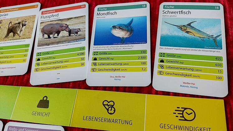 Tiere toppen im Test - geniales Kartenspiel rund um Tierfakten