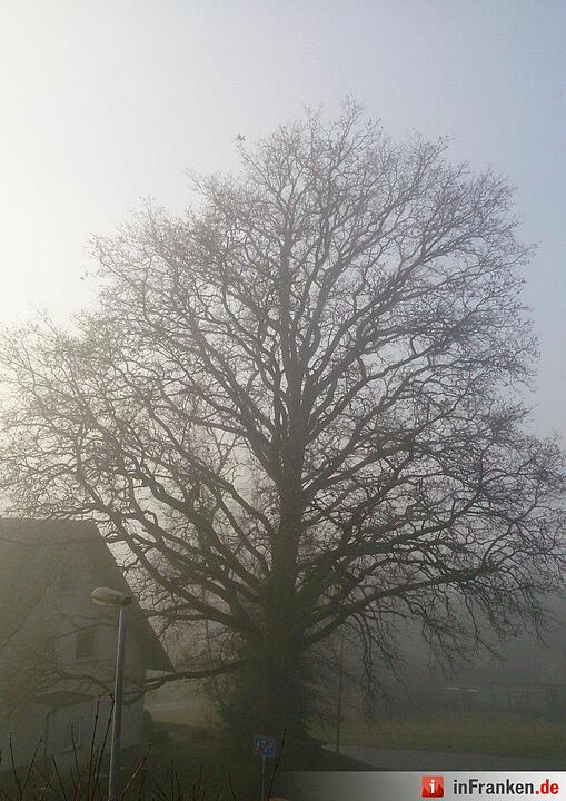 Nebel über Franken