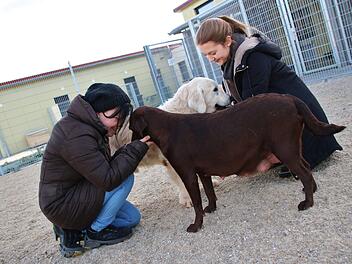 Das Tierheim Haßberge bei Zell Foto: Teresa Hirschberg