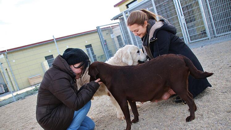 Das Tierheim Haßberge bei Zell Foto: Teresa Hirschberg