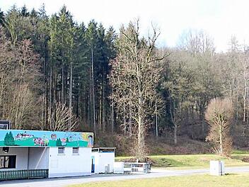 Auf diesem Waldgrundstück oberhalb des Schützenplatzes befindet sich die Säureharzdeponie, die saniert werden muss.  Foto: Alexander Löffler