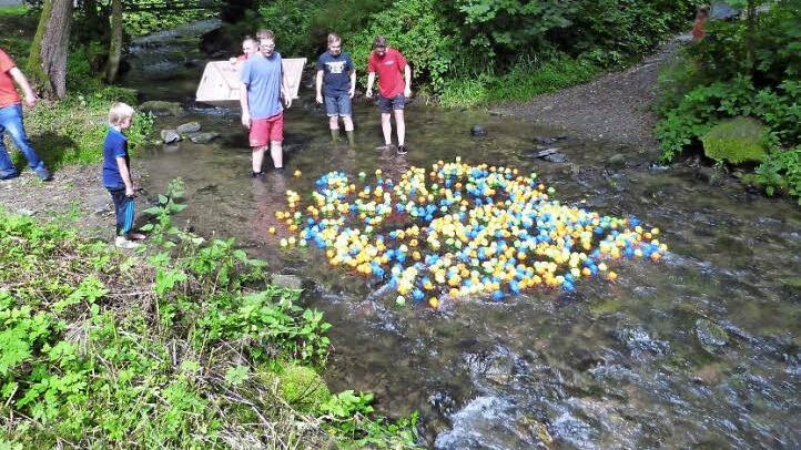 Beim Einsetzen der Fischla Foto: Werner Rei&szlig;aus