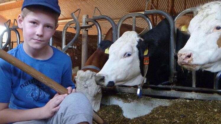 Simon schaufelt einen Haufen Silage zusammen, von dem die Kinder glauben, dass er für eine Kuh am Tag ausreicht. Er kommt dabei ganz schön ins Schwitzen. Fotos: Katharina Müller-Sanke