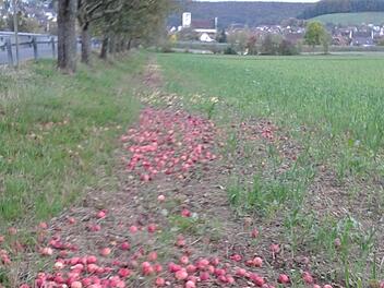 Vor einigen Tagen hat Jürgen Wittmer fotografiert, wie Äpfel und Birnen am Straßenrand verfaulen.  Foto: Jürgen Wittmer