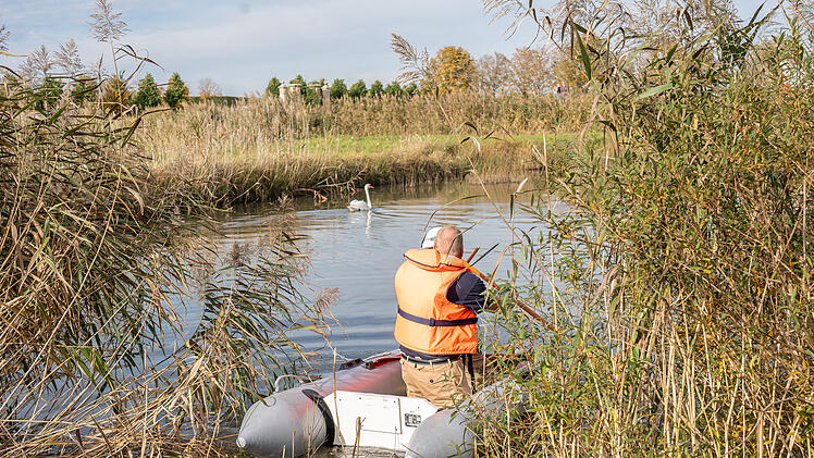 Schwan im Kreis Bamberg von Schnur befreit