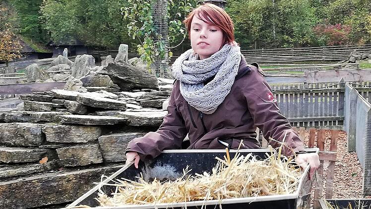 Helferin Samira Kempf (19) beim Ausmisten eines Hasen-Geheges
