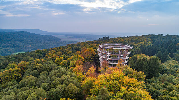 &Ouml;ffnet nach Corona-Zwangspause am 11. M&auml;rz 2021 wieder seine Pforten: der Baumwipfelpfad Steigerwald bei Ebrach.