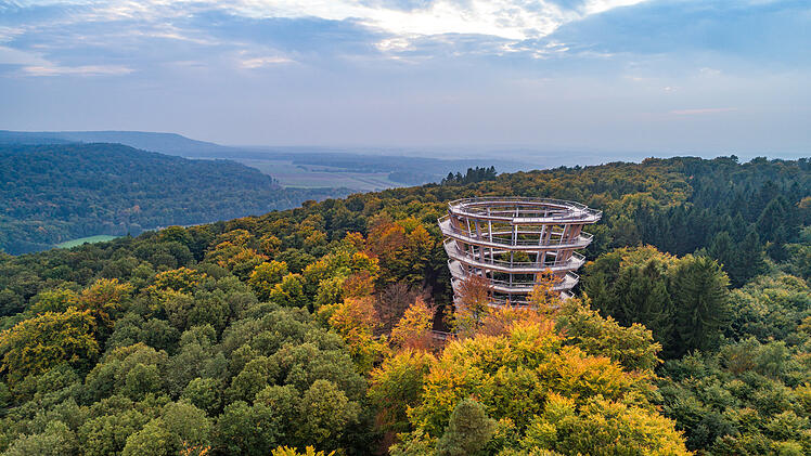 Herbst Turm Baumwipfelpfad Steigerwald