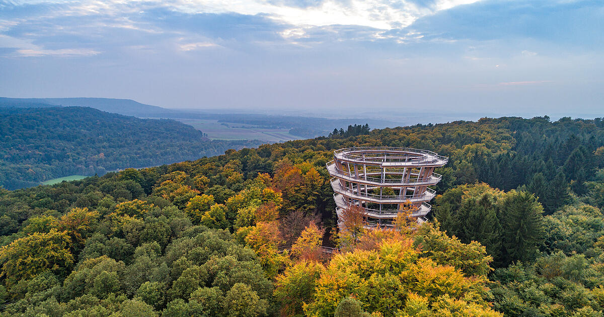 Baumwipfelpfad Steigerwald öffnet wieder: Was Besucher beachten müssen