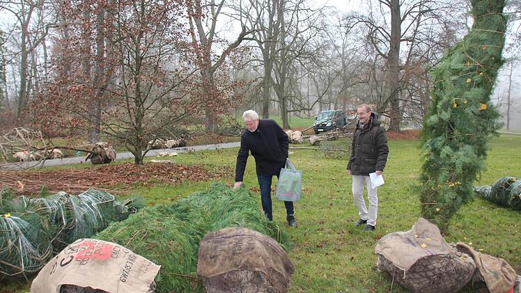 Bernhard Ledermann (links) und Hans-Herbert Hartan begutachten die Bäume, die jetzt nach und nach gepflanzt werden.Oliver Schmidt