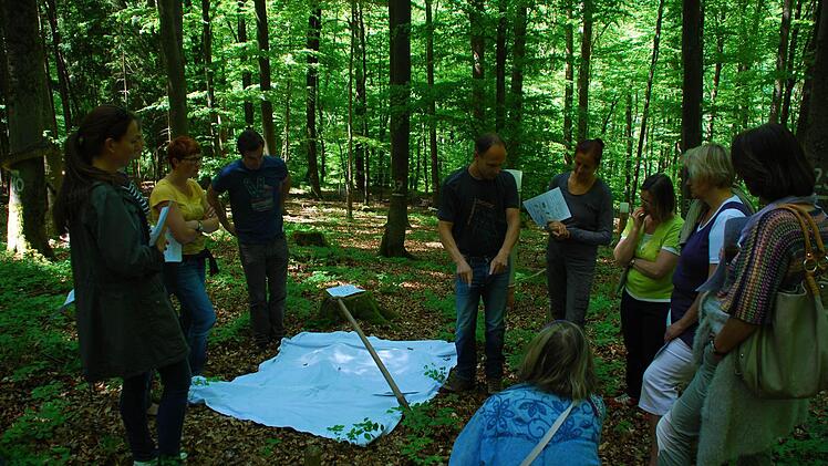 Die Teilnehmer der Weiterbildung des Bund Naturschutz beschäftigen sich mit dem Boden, und was darin vorgeht. Foto: Heike Gögelein