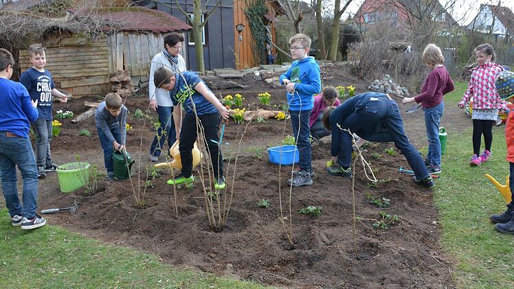 Beerenbeet: Pflanztag mit dem Gartenbauverein Melkendorf Foto: Dagmar Besand