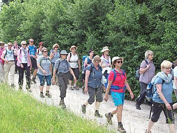 Wie in den Vorjahren werden sich am Samstag, 26. Mai, wieder etwa 200 Männer, Frauen und Kinder auf den langen Pilgerweg nach Gößweinstein begeben.  Foto: Alfred Thieret