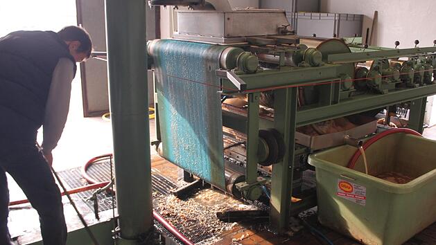 Die Bandpresse in Rainer M&auml;rkls Kelterei l&auml;uft auf Hochtouren. Er dr&uuml;ckt restliche &Auml;pfel in das Wasserbecken.Jutta Rudel