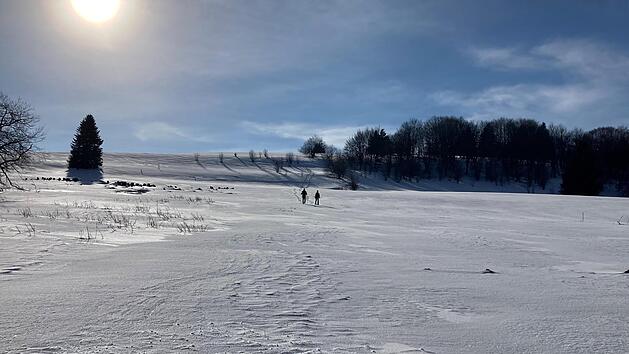 Viele Verst&ouml;&szlig;e gegen die Regeln pr&auml;gten das Wochenende im Naturschutzgebiet Lange Rh&ouml;n. Auch wenn es verlockend aussieht - Schneeschuhg&auml;nger haben hier abseits der erlaubten Wege nichts zu suchen.