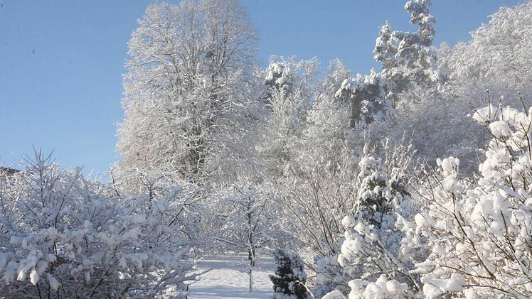 Winter auf der Jurahöhe. Foto: Franz Galster
