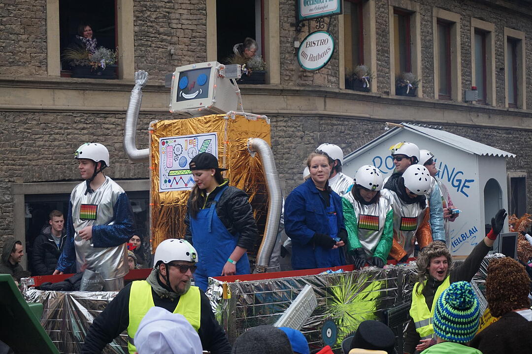 Landkreisfaschingszug 2015
