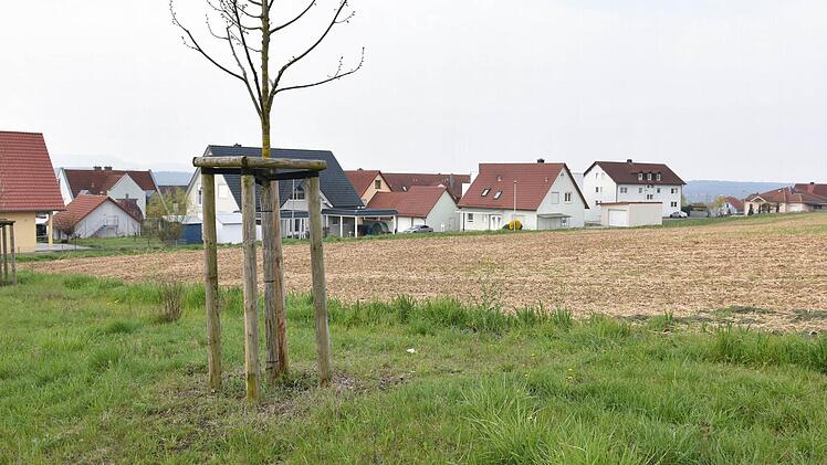 In der kommenden Woche erfolgt der Spatenstich für die Erweiterung des Baugebiets "Sauleite" in Obertheres.  Foto: Ulrike Langer
