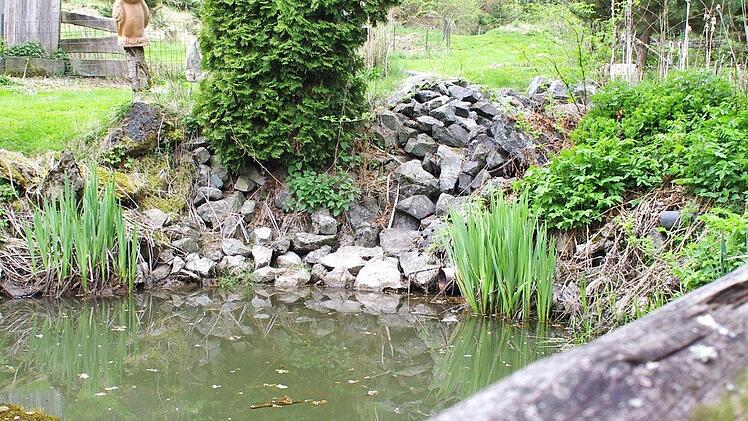 Im Garten der Webers stößt der Besucher allerorten auf das Thema "Wasser".  Fotos: Marco Meißner (7)/Norbert Weber (3)