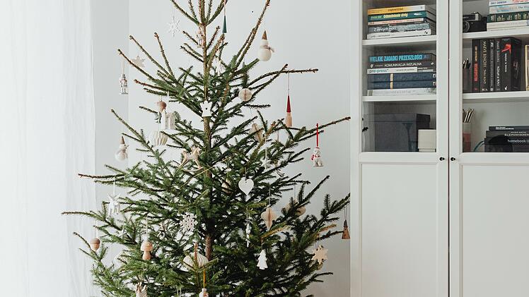 So nachhaltig ist ein Weihnachtsbaum im Topf