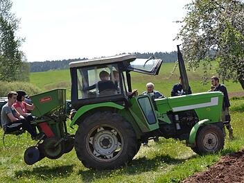Der Gartenbauverein Windischenhaig setzte in einer Mitmach-Aktion Kartoffelpflanzen wie in früheren Zeiten. Fotos: Jürgen Valentin