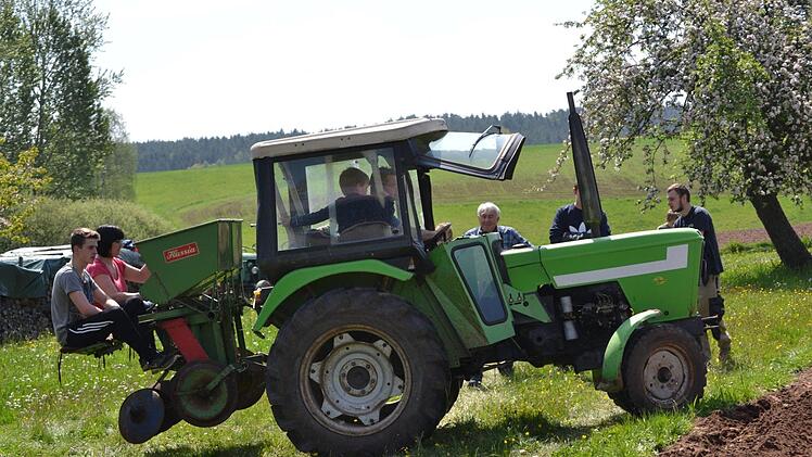 Der Gartenbauverein Windischenhaig setzte in einer Mitmach-Aktion Kartoffelpflanzen wie in früheren Zeiten. Fotos: Jürgen Valentin
