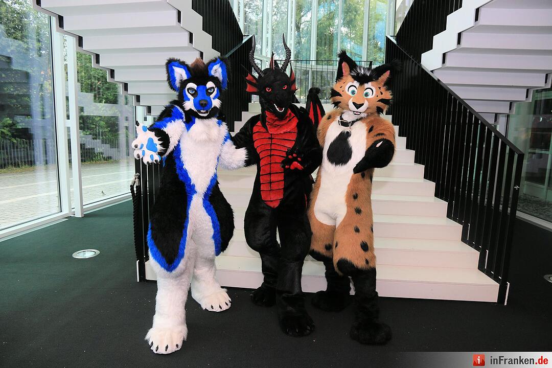 Schrill und bunt: Die Franco Bamberg in Bildern