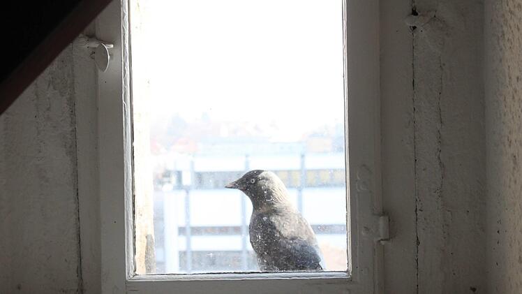 Da oben wohnt doch noch jemand, aber draußen, vor dem Fenster.