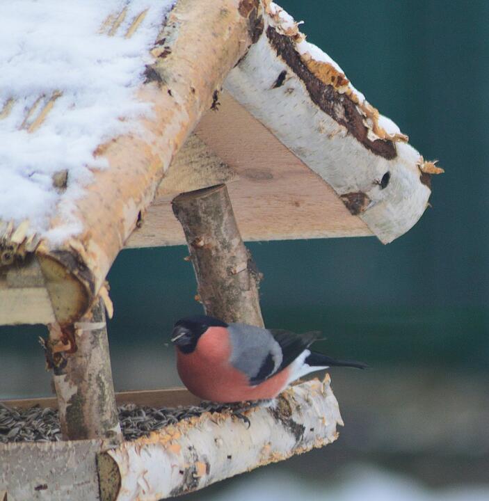 Die schönsten Winterfotos aus Kronach und Umgebung