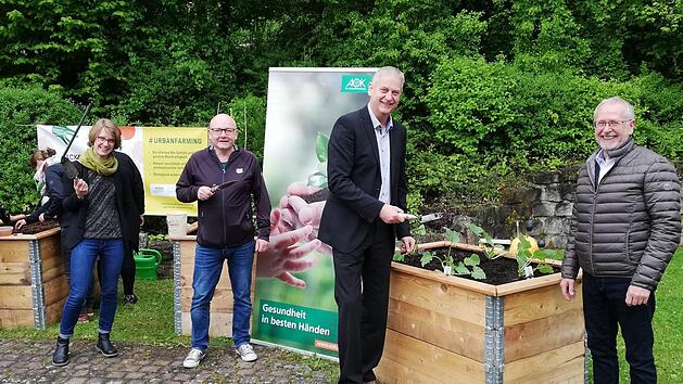 Ernährungsberaterin Hendrike Hellmann (Acker Company; von links), Bildungsbegleiter Ingo Niebling (Nüdlinger Werkstatt), Direktor Franz Dünisch (AOK Schweinfurt) und Werkstattleiter Martin Denninger (Leiter Nüdlinger Werkstatt) an den Hochbeeten.